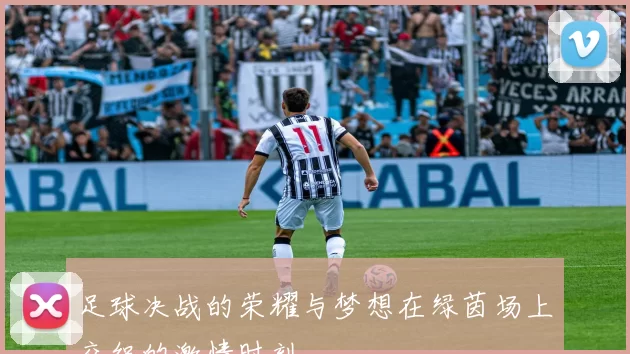 足球决战的荣耀与梦想在绿茵场上交织的激情时刻