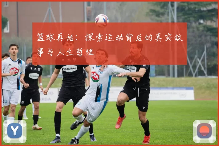 篮球真话：探索运动背后的真实故事与人生哲理