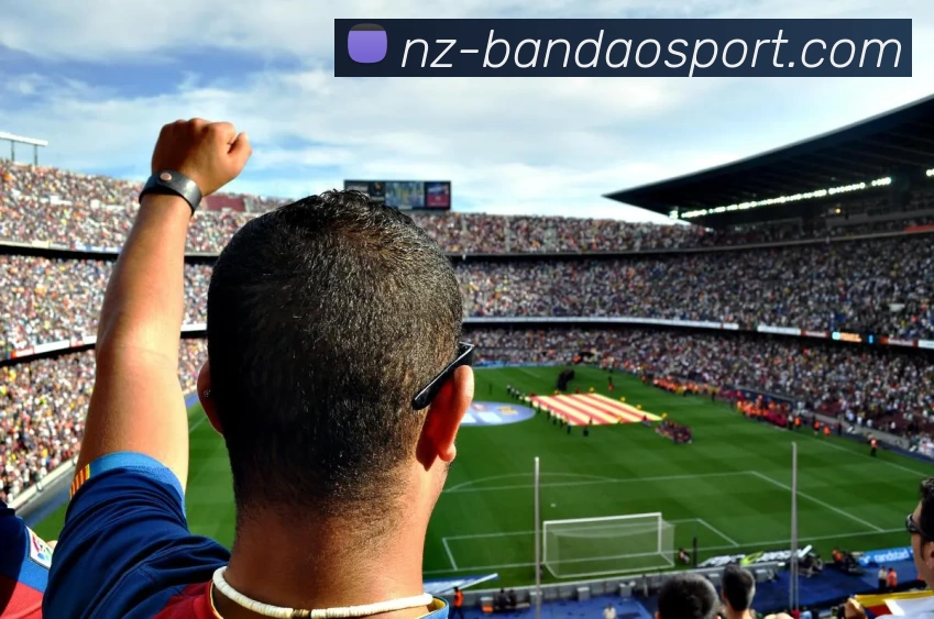 半岛体育APP 高清赛事图